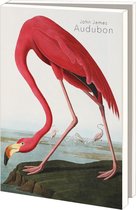 Kaartenmapje - Set Wenskaarten - Kunstkaarten - Museumkaarten - 10 stuks - inclusief enveloppen - Vogelpracht - John James Audubon - Teylers Museum