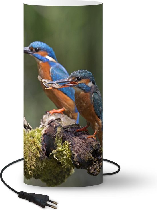 Lamp Ijsvogel Ijsvogels met vis 70 cm hoog Ø30 cm