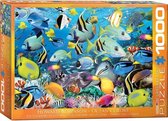 Eurographics Puzzel: Ocean Colors - 1000 Stukjes