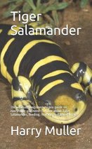 Tiger Salamander