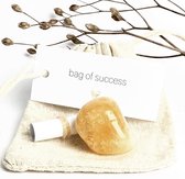 Bag of Success - Citrine