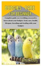 Budgies Care for Beginner: Complete guide on everything you need to know about your budgies