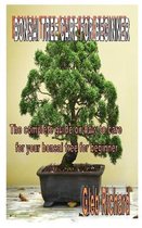 Bonsai Tree Care for Beginner