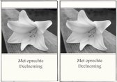 2 Premium Luxe Condoleance kaarten - Sterktekaarten - Met Oprechte Deelneming - Set van 2 stuks - 17x12cm - Gratis verzonden