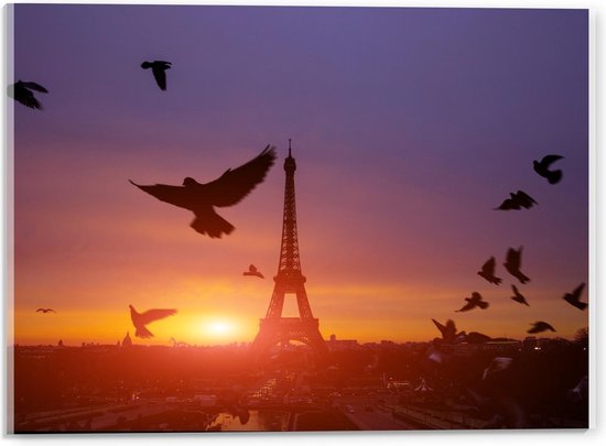 Acrylglas - Vliegende Groep Vogels bij de Eiffeltoren - 40x30cm Foto op Acrylglas (Wanddecoratie op Acrylglas)