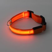 PetSpace | Hondenhalsband | Oranje | Lichtgevend | Verstelbaar | Led | Oplaadbaar met USB