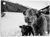 Tuinposter – Zwart/Wit Schotse Hooglander met Baby  - 40x30cm Foto op Tuinposter  (wanddecoratie voor buiten en binnen)