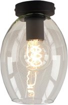 Olucia Giada - Plafondlamp - Transparant/Zwart - E27