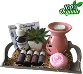 Cadeaupakket etherische olie 10 delig set | Lichaamsmassage | Oliebrander | Aromatisch kado | Essentiële oliën