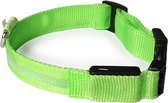 PetSpace | Hondenhalsband | Groen | Lichtgevend | Halsband | Verstelbaar | Led | Oplaadbaar met USB