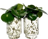 Gevlekte potten met groen, wit, beige Ø12 cm  | Set van 2 stuks | Cheetah print trend | Bloempot op voet | Bloempotten, binnenpot, bloempot kamerplant