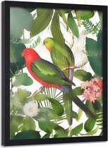Foto in frame , 2 Papegaaien tussen de bladeren  ,70x100cm , multikleur , wanddecoratie , Premium print