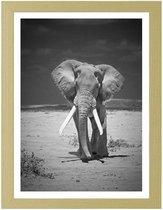 Foto in frame ,  Wandelende Olifant , 3 maten , Zwart wit , wanddecoratie , Premium print