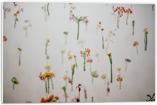Forex - Bloemetjes zwevend bij Witte Muur - 60x40cm Foto op Forex