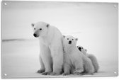 Tuinposter – Drie Knuffelende IJsberen  - 90x60cm Foto op Tuinposter  (wanddecoratie voor buiten en binnen)
