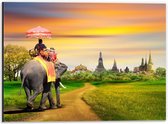 Dibond - Man zittend op Olifant met Mooi Uitzicht - 40x30cm Foto op Aluminium (Wanddecoratie van metaal)