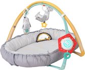 Taftoys Knusse Ontwikkel Babygym