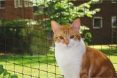 Nobby Cat Net pour balcon - 2 x 3 mètres