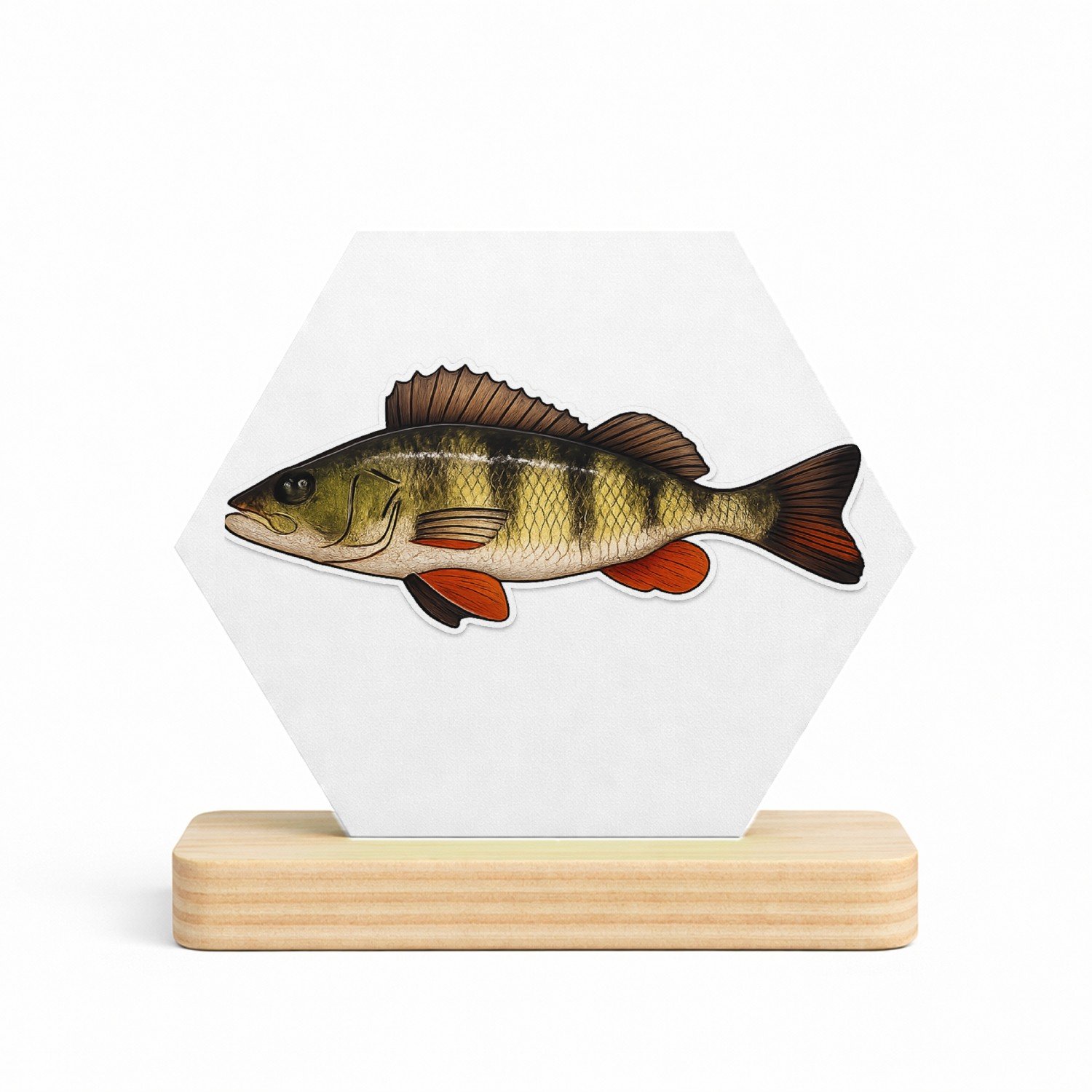 Mr Cadeautjes MDF fotolijst/inleg hexagon 14 x 13 - design Grafische salamander op rotsrand | cadeau Wit