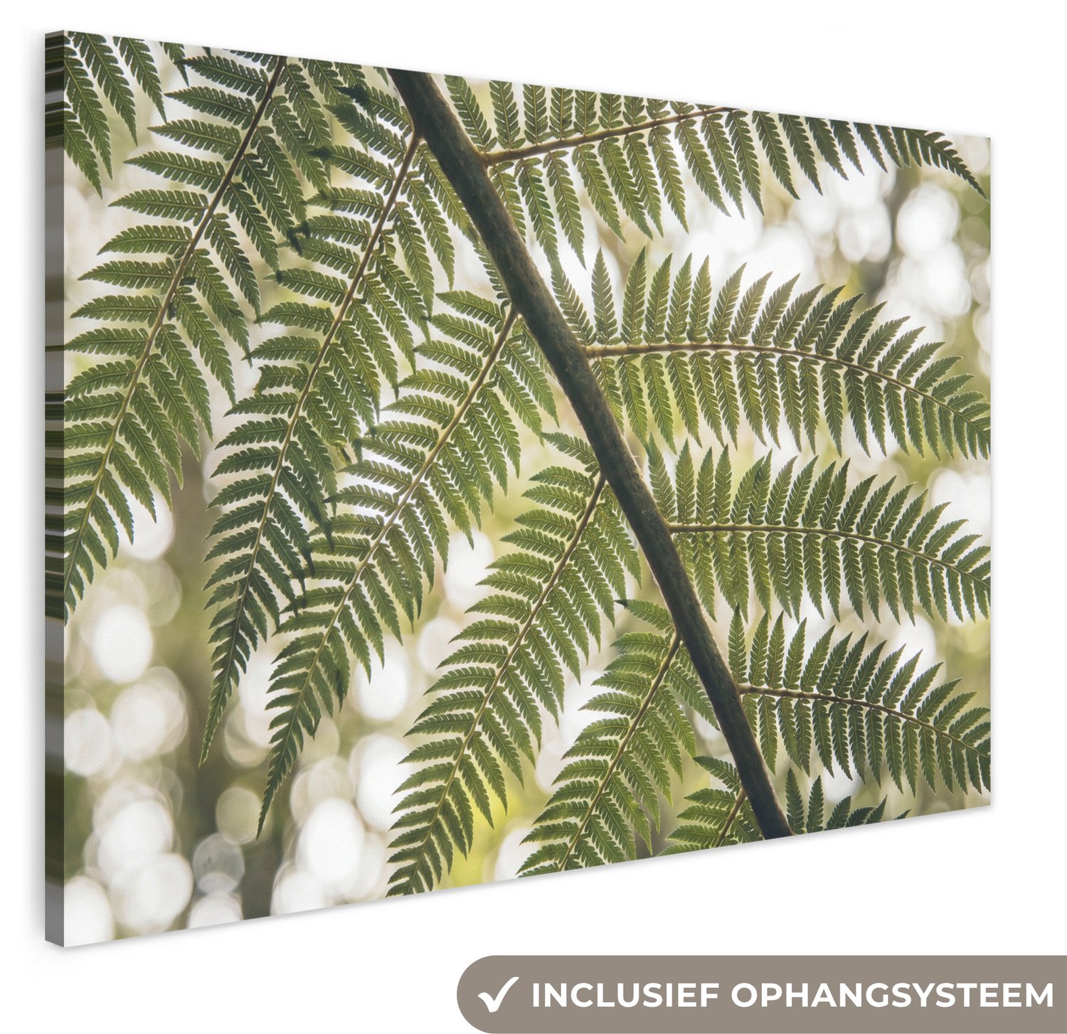 Canvas schilderij 180x120 cm - Exclusieve wanddecoratie Plant - Blad - Natuur - Groen - Detail - Muurdecoratie woonkamer - Slaapkamer decoratie - Kamer accessoires - Schilderijen op canvas groot XXL