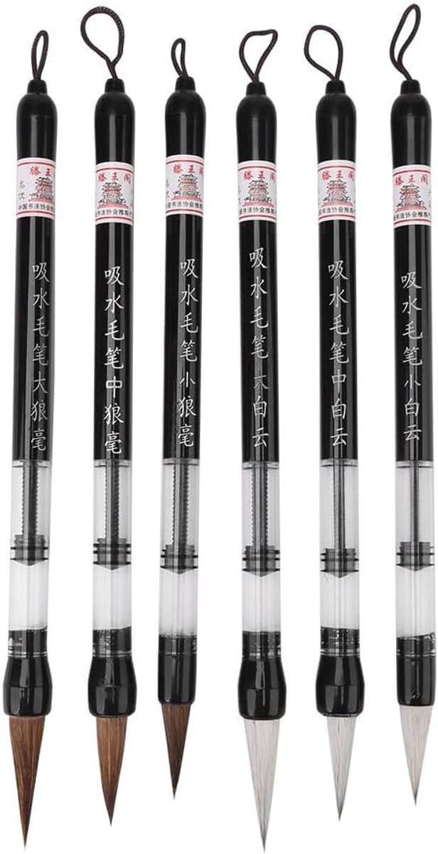 6 Stks Zuiger Vullen Chinese Water Borstel Pens, Chinese Japanse Kalligrafie Pen, Waterschrijven Penseel, Voor Het Oefenen Van Kalligrafie Op Waterschrijven Doek