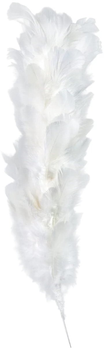 Verenpluim 22cm - Wit