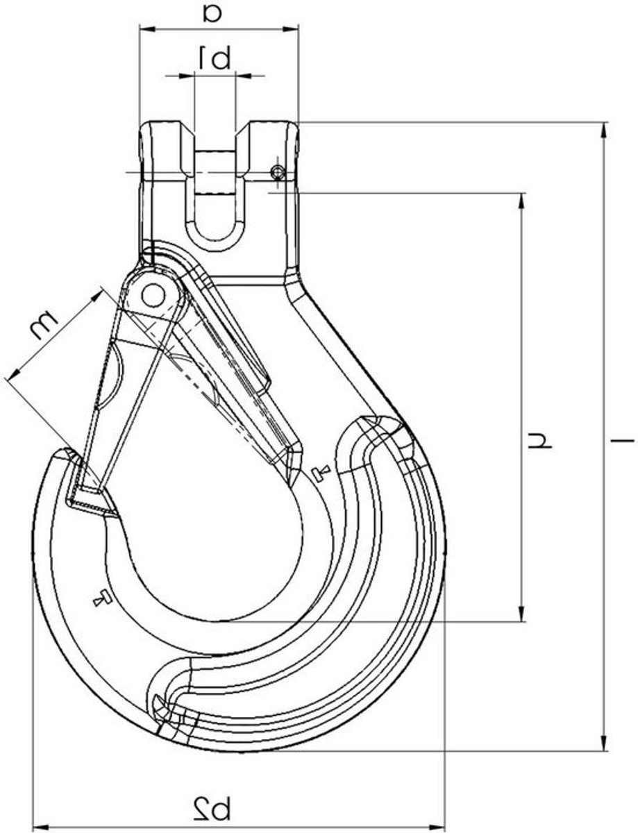 Vorkkophaak - Hijshaak Kettinghaak - Tillen van Lasten - Voldoet aan EN-norm - 6 mm ketting - Zilverkleurig