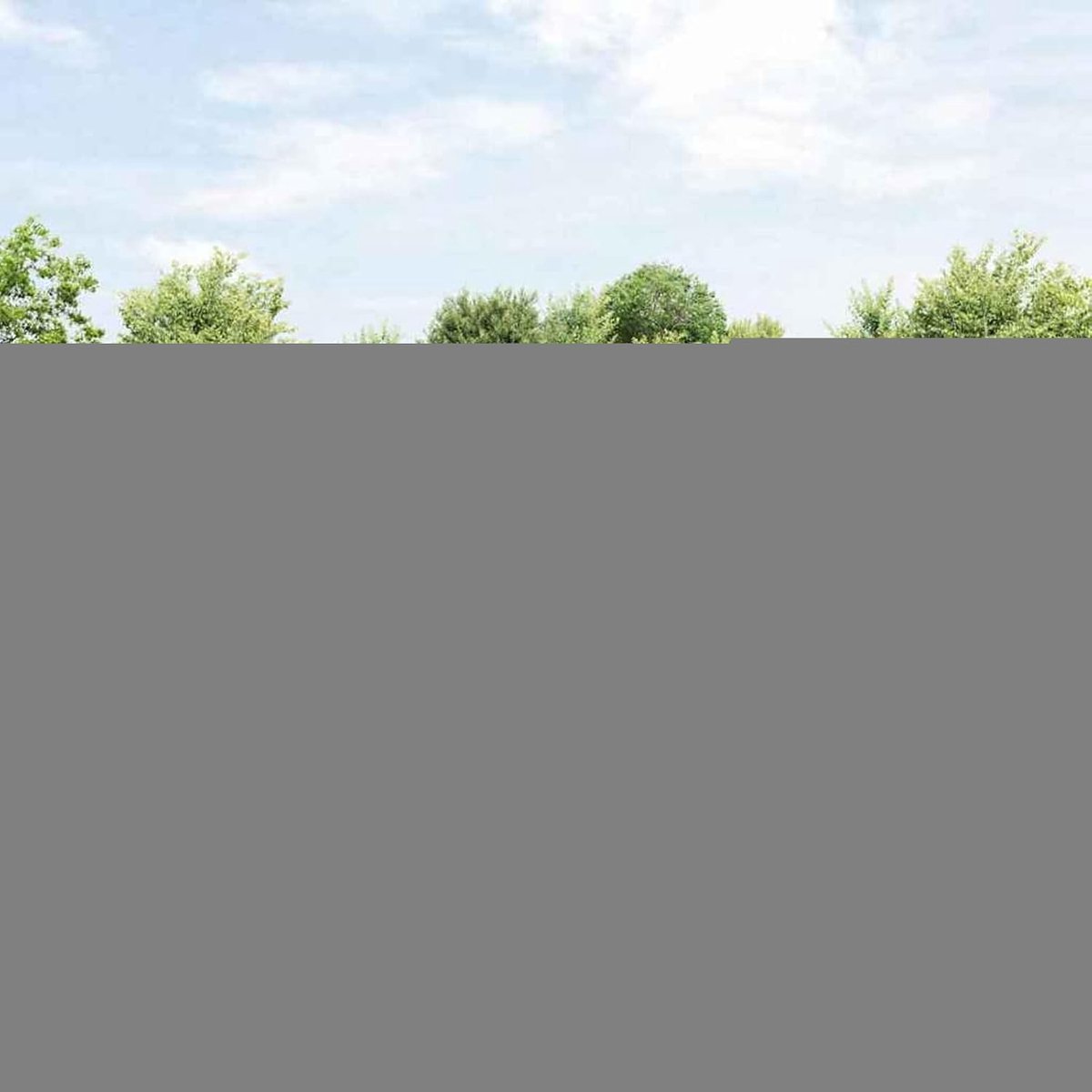 Palen 0,8 x 50 m, hekpalen met basisplaten, 13 stuks, Ø 32 mm, 90 cm, verzinkt staal, hekstangen, metalen palen voor draadhekken, tuinhek, wilgenhek, buitenbereik