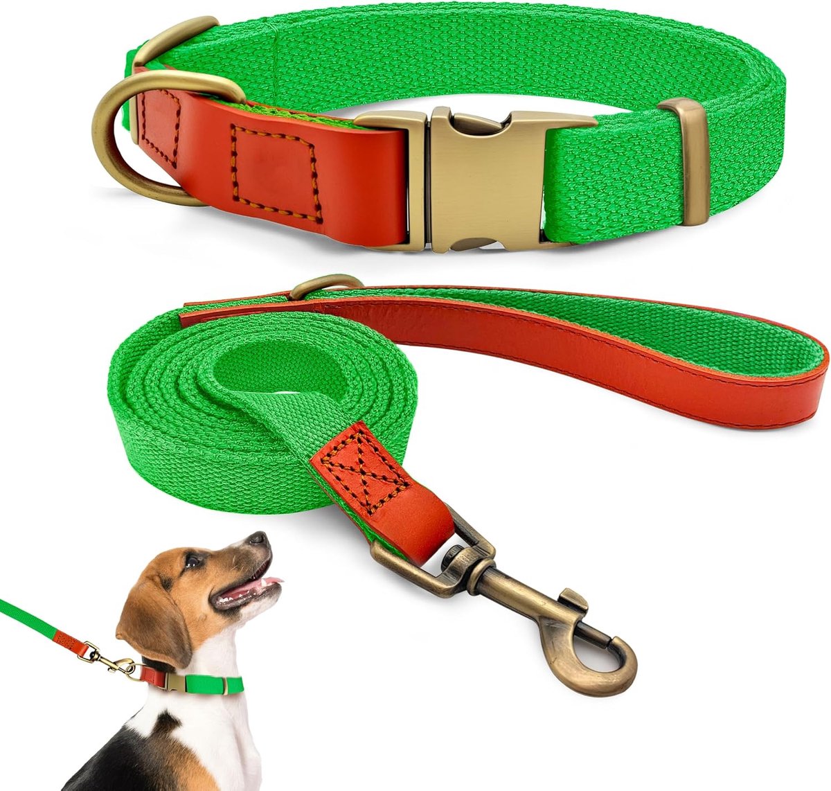 Set van halsband en riem M 32–50 cm, leer met nylon (fluorescerend groen)