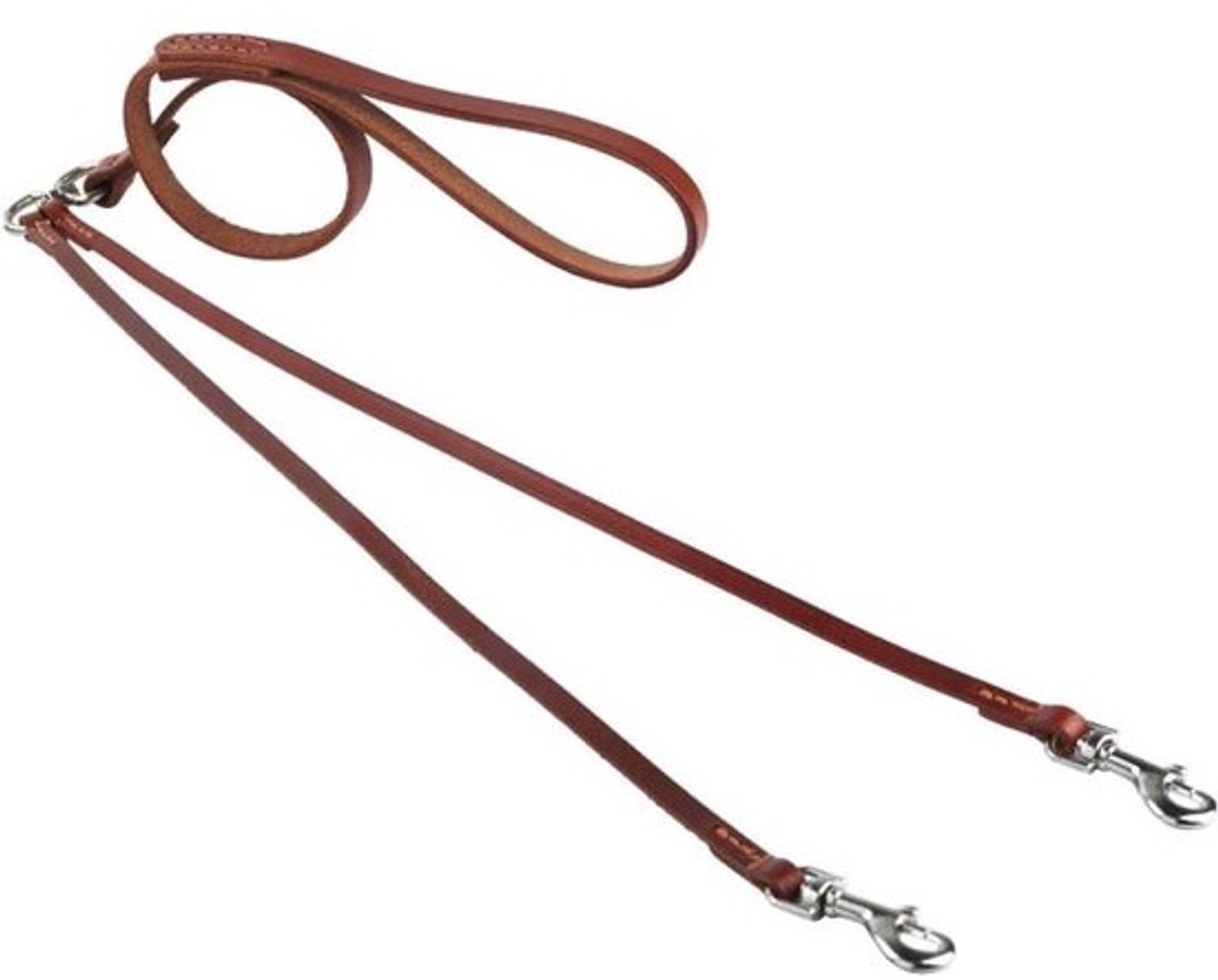 Kleine hond medium hond ketting hond riem toplaag koeienhuid dubbele hoofd tractie touw een voor twee hond riem hond ketting@AT