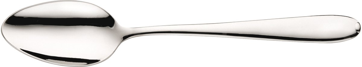 Pintinox Palladium Tafellepel