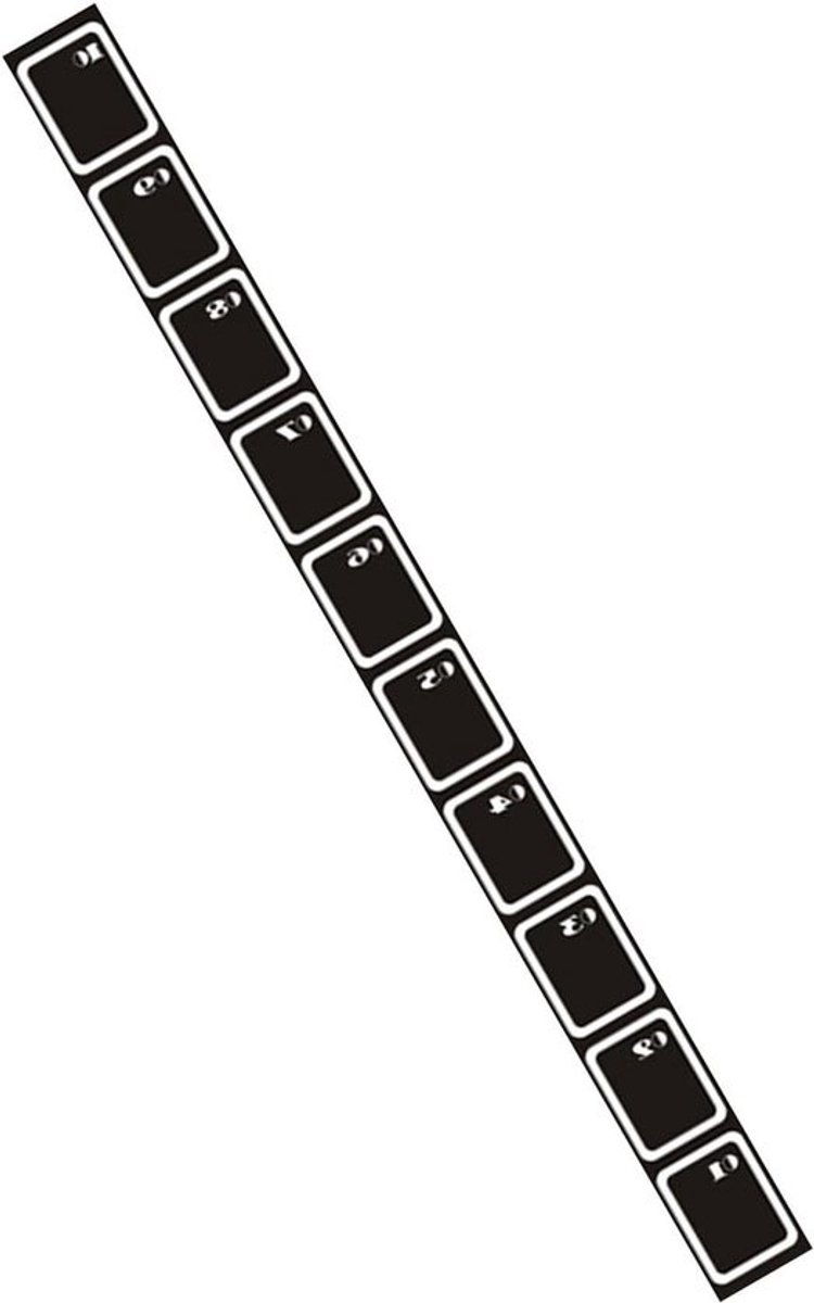 Behendigheidsladder - Trainingsladder Sportladder - Atletische Prestaties Verbeteren - Niet-slip Ontwerp - 450x34x0.3cm - Niet gespecificeerd