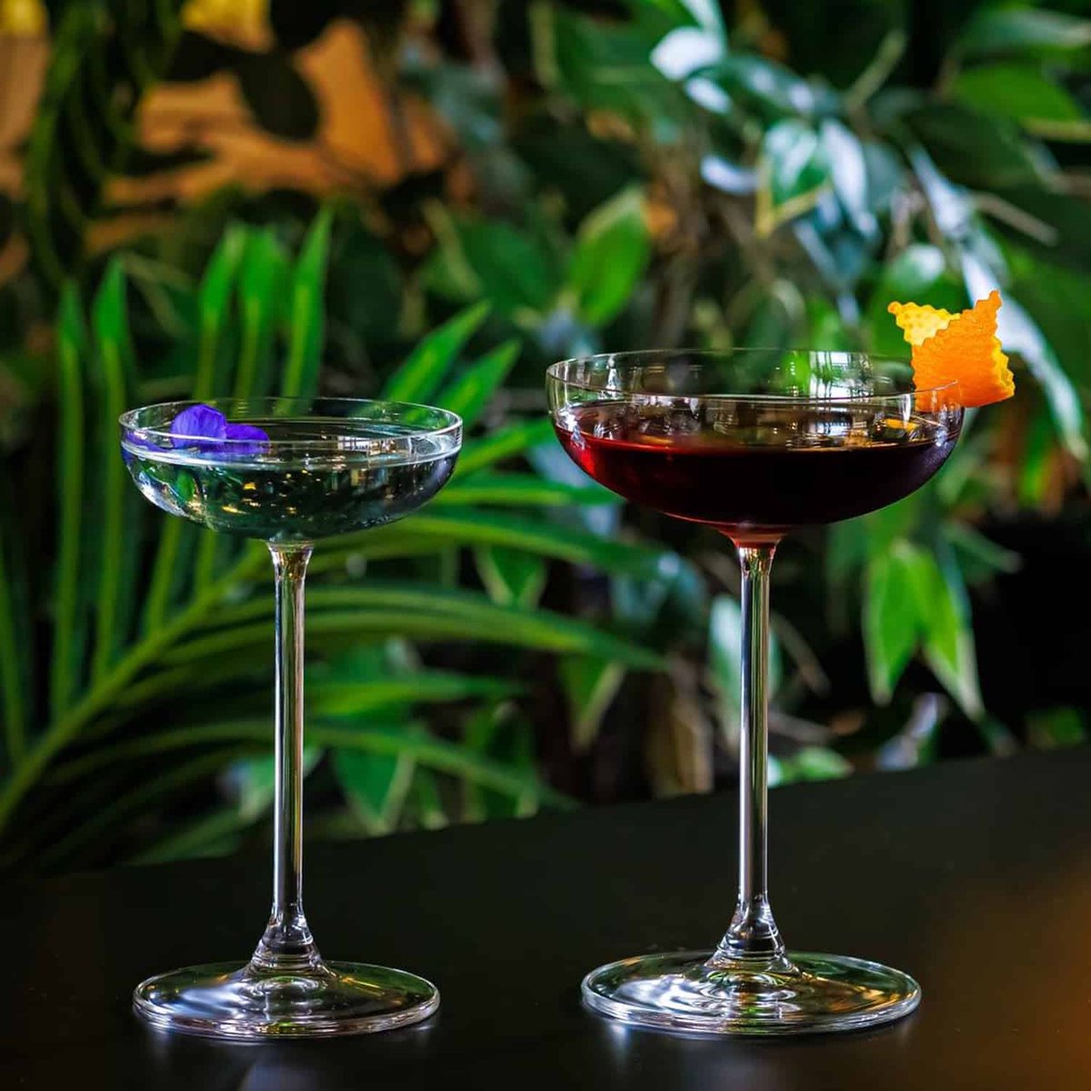 Onis Bespoke Champagnecoupes 28 cl / 280 ml | Set van 6 Stuks | Champagneglazen voor Champagne en Cocktails | Glas | Vaatwasserbestendig