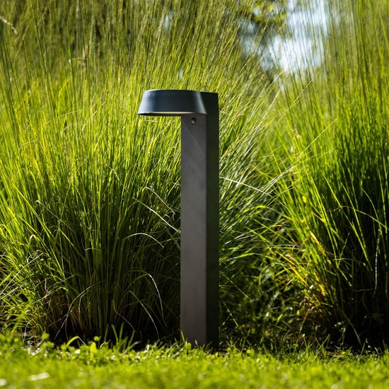 Zwarte staande buitenlamp met gebogen kap, voor een hoge grasplant.