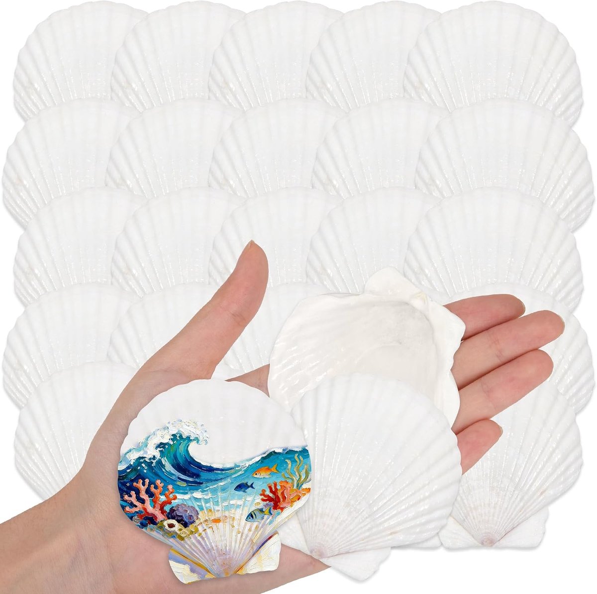 35 stuks natuurlijke witte sint-jakobsschelpen 5-7 cm grote zeeschelpen voor doe-het-zelf ambachten, strandbruiloftsdecoratie, feest- en huisdecoratie, bulkschelp schelpen voor kunsthars