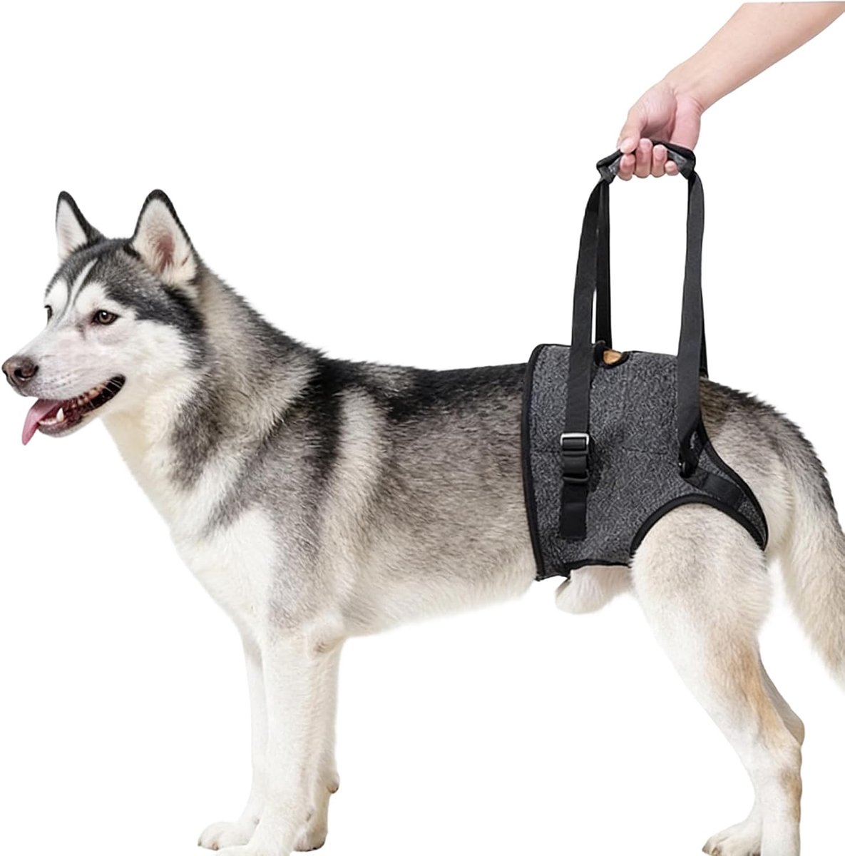 achterbeensteunriem voor middelgrote en grote honden 26-40 kg, harnas voor oudere en gehandicapte honden met beperkte mobiliteit - grijs, XL