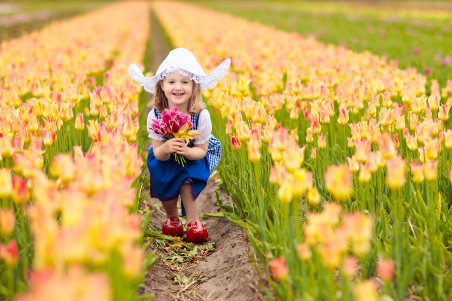 Vgdesign Kabouter in tulpenveld 70x50 tuinposter banner VGDesign onbekend