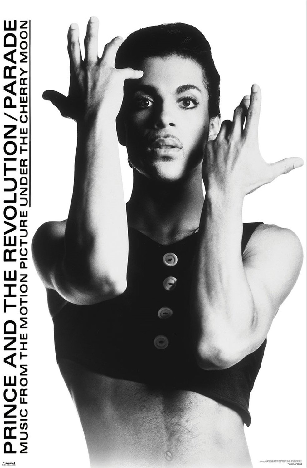 Pyramid Poster Prince 61x91,5cm Divers