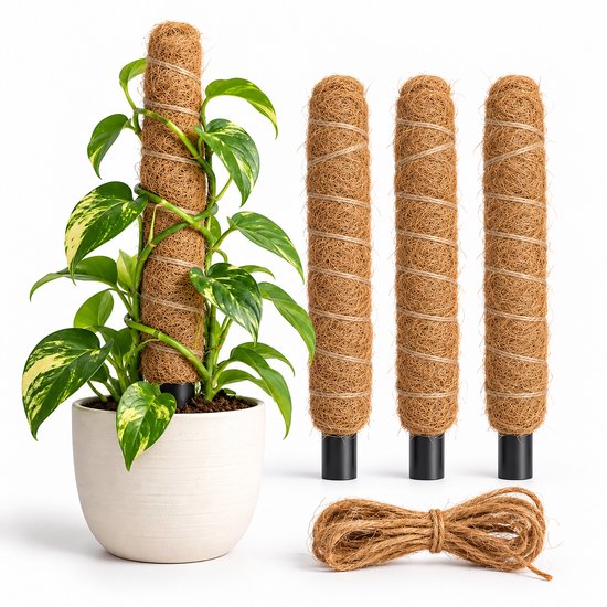 Set van drie kokosstokken, een plant in een witte pot en een bol kokostouw.