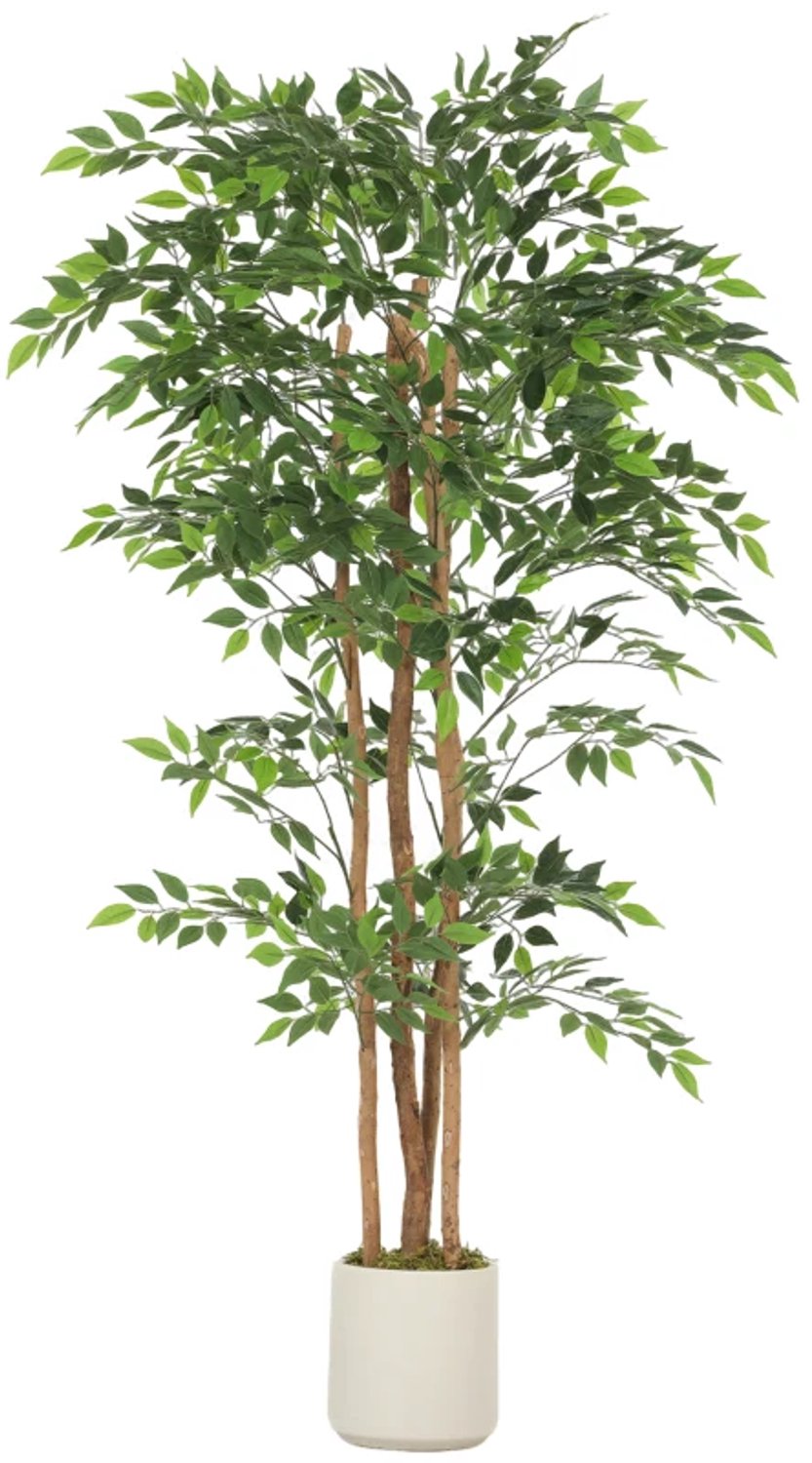 ZYLARO Kunstbanyanboom - Massief houten stam - Voor woonkamer slaapkamer en kantoor - 75 x 75 x 180 cm - Groen groen+wit