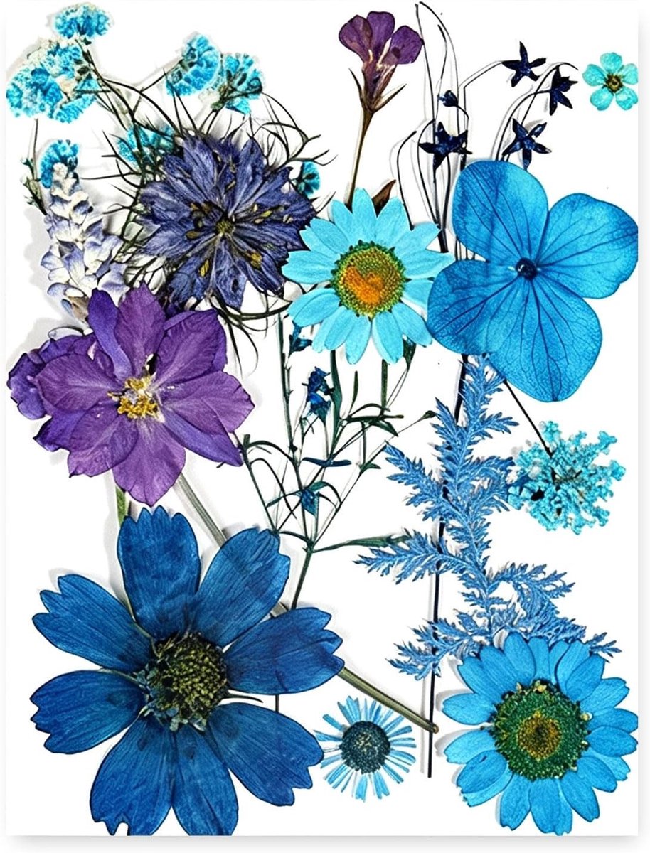 15 Stuks Natuurlijke Gedroogde Blauwe Bloemen voor Hars Kunst en DIY Projecten, Perfect voor Sieraden en Decoratie