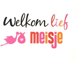 Luxe Wenskaart Geboorte Meisje - Geboortekaart - Wenskaarten - Geboortekaart - Meid - Birth Girl - Geburt eines Mädchens - Naissance d'une Petite Fille - Serie EyeCandy - Artige - Kaart - 1 Stuks - In Folie - Gratis Verzonden - 14,5x10.5cm