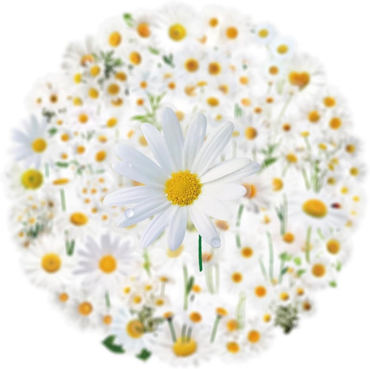 50 Stuks Daisy Stickers voor Skateboard, Fiets, Laptop en Koffer - Waterdichte Graffiti Stickers voor Kinderen en Tieners