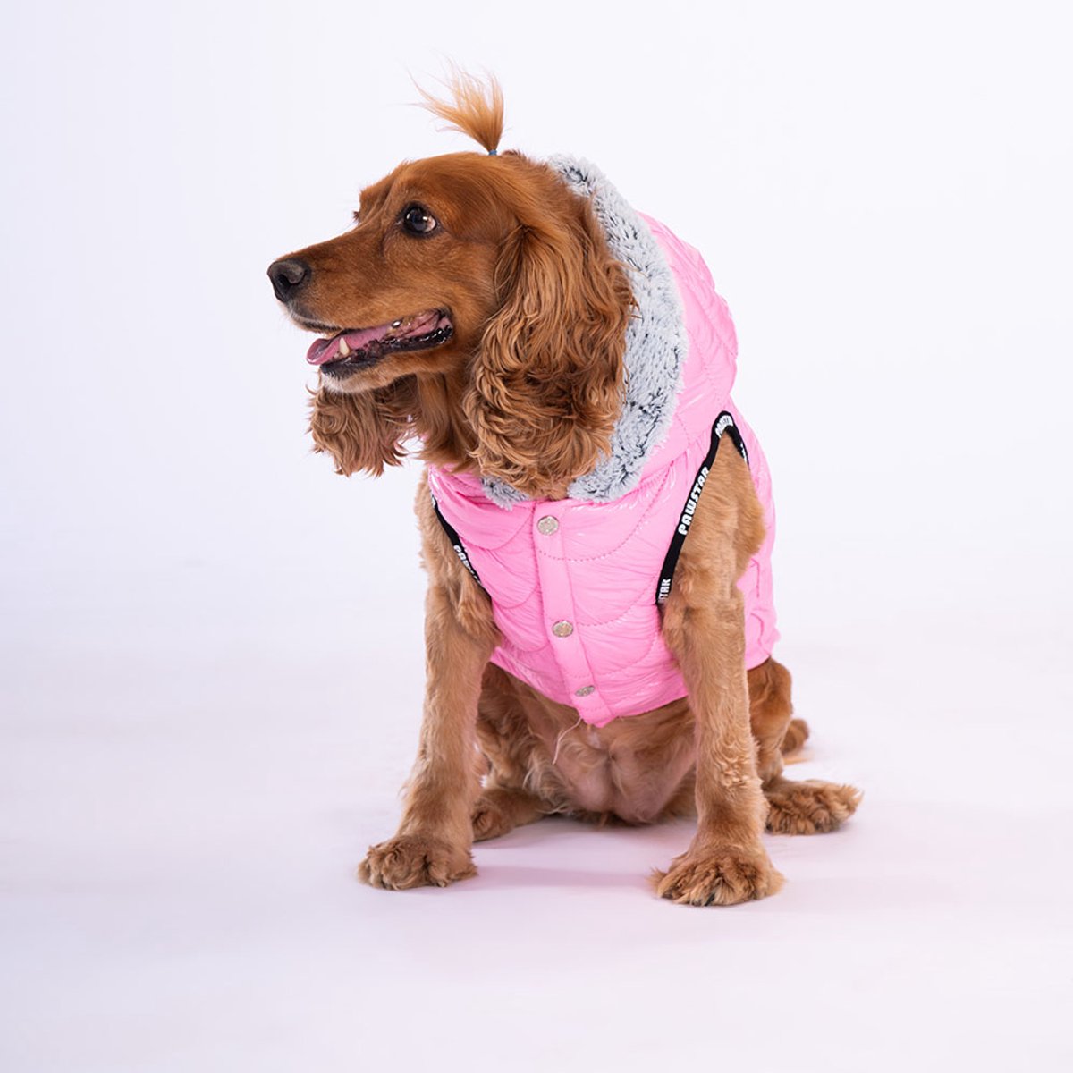 Pawstar Light Wave - Hondenbodywarmer - Roze - XL