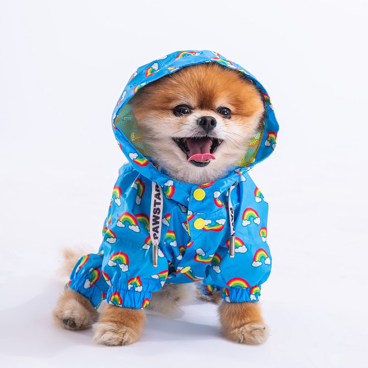 Pawstar Irides - Hondenoverall - Multicolor - XL