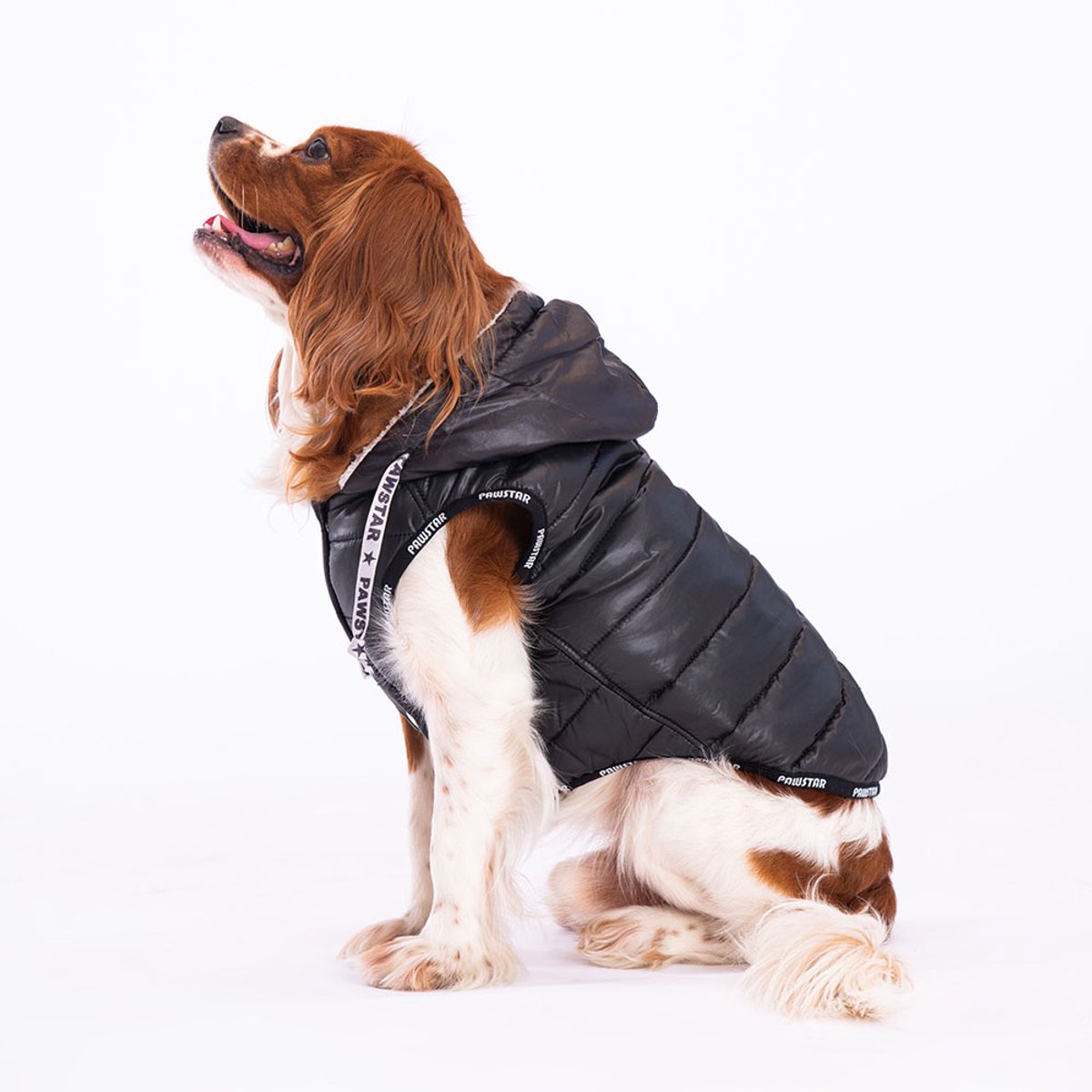 Pawstar Railway - Hondenbodywarmer - Zwart - XXL