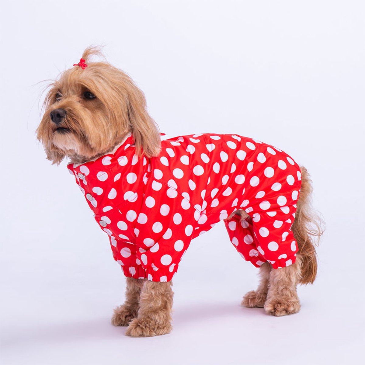 Pawstar Dots - Hondenoverall - Rood - XXL