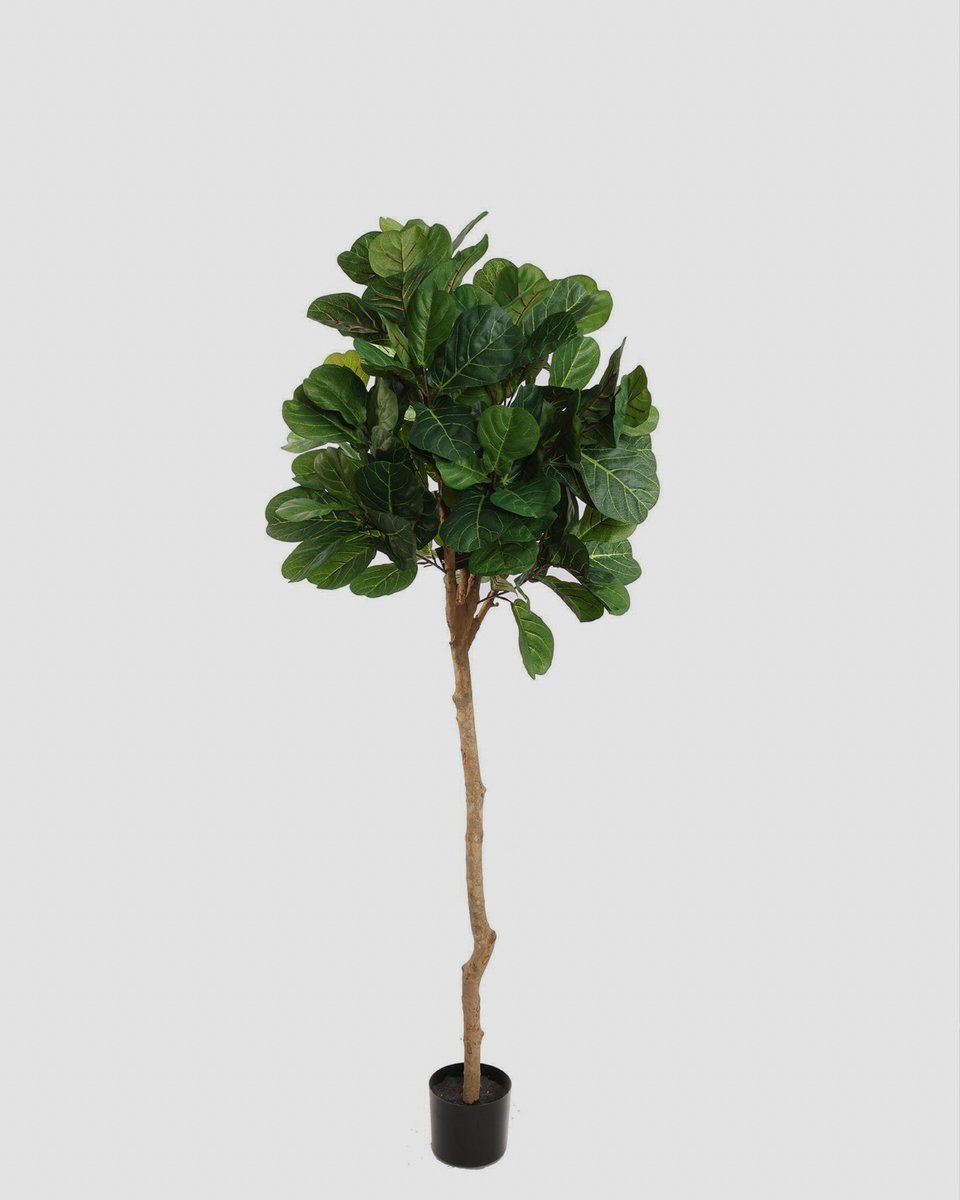 Kunstplant Ficus Lyrata - 180cm