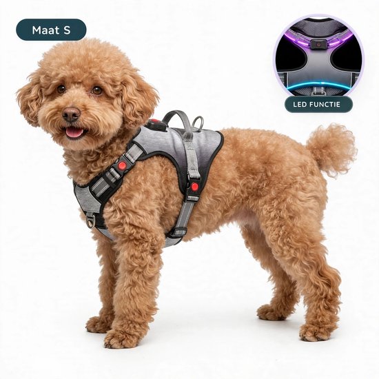 Premium Pets Hondentuig - Y Tuig hond - Harnas Hond - Anti trek tuig Hond - Led Lichtgevend - Reflecterend - S
