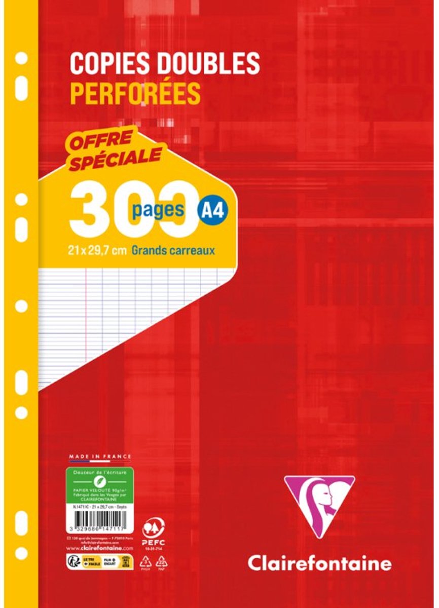 Clairefontaine geperforeerde schrijfblokken A4, geruit 5×5, 90g papier, 300 pagina's